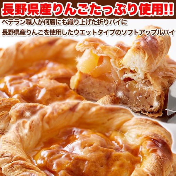 アップルパイ リンゴパイ りんご 林檎 ケーキ ホール 5号 長野県