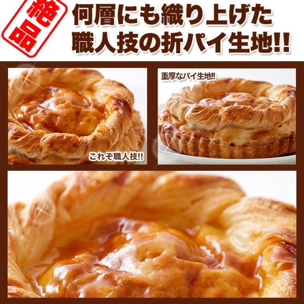 アップルパイ リンゴパイ りんご 林檎 ケーキ ホール 5号 長野県