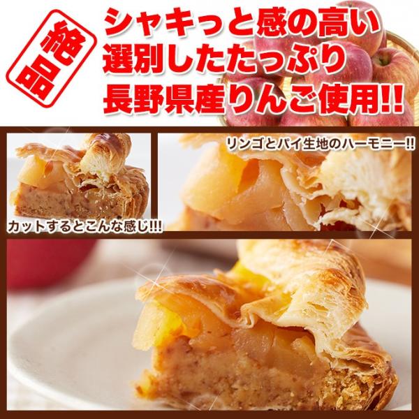 アップルパイ リンゴパイ りんご 林檎 ケーキ ホール 5号 長野県