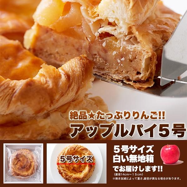 アップルパイ リンゴパイ りんご 林檎 ケーキ ホール 5号 長野県