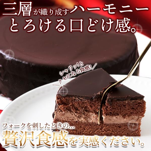 ザッハトルテ 5号 チョコケーキ ホール チョコレート 洋酒 冷凍