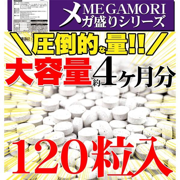 ブルーベリー サプリメント ルテイン ブルーライト スマホ パソコン 目 疲れ 眼精疲労 加齢 事務作業 デスクワーク ビタミンA カロテノイド 【納期A】【sm00010142】