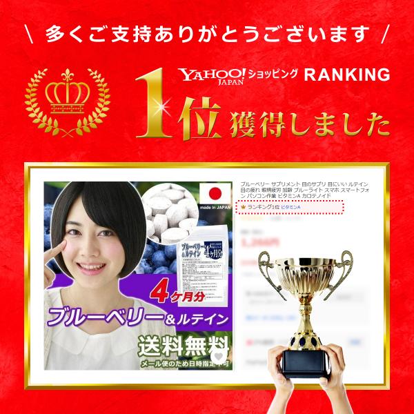 ブルーベリー サプリメント ルテイン ブルーライト スマホ パソコン 目 疲れ 眼精疲労 加齢 事務作業 デスクワーク ビタミンA カロテノイド 【納期A】【sm00010142】