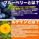 ブルーベリー サプリメント ルテイン ブルーライト スマホ パソコン 目 疲れ 眼精疲労 加齢 事務作業 デスクワーク ビタミンA カロテノイド 【納期A】【sm00010142】