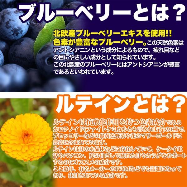 ブルーベリー サプリメント ルテイン ブルーライト スマホ パソコン 目 疲れ 眼精疲労 加齢 事務作業 デスクワーク ビタミンA カロテノイド 【納期A】【sm00010142】