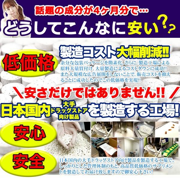 ブルーベリー サプリメント ルテイン ブルーライト スマホ パソコン 目 疲れ 眼精疲労 加齢 事務作業 デスクワーク ビタミンA カロテノイド 【納期A】【sm00010142】