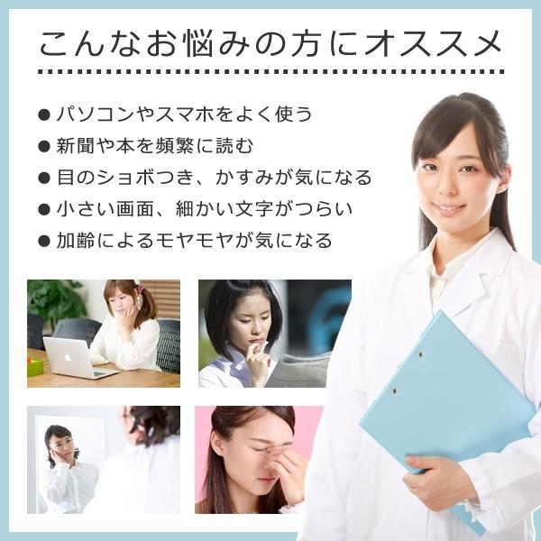 ブルーベリー サプリメント ルテイン ブルーライト スマホ パソコン 目 疲れ 眼精疲労 加齢 事務作業 デスクワーク ビタミンA カロテノイド 【納期A】【sm00010142】