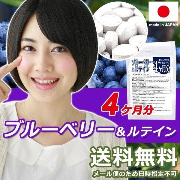 ブルーベリー サプリメント ルテイン ブルーライト スマホ パソコン 目 疲れ 眼精疲労 加齢 事務作業 デスクワーク ビタミンA カロテノイド 【納期A】【sm00010142】