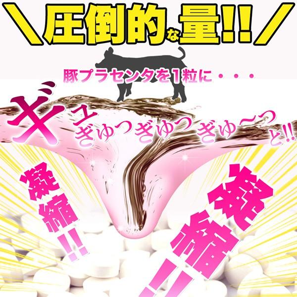 プラセンタサプリ 国産 豚 プラセンタ 濃縮 サプリメント 美容 コラーゲン 美肌 加齢 肌荒れ シミ そばかす 健康 張り ハリ 弾力 酵素 栄養 【納期A】【sm00010143】