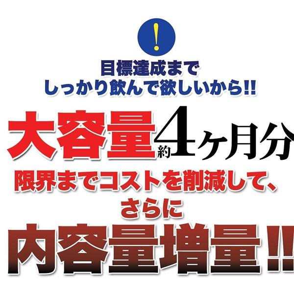 メリロート サプリメント Lシトルリン スラリート むくみ 足 立ち仕事 冷え 美容 美脚 ダイエット 運動不足 睡眠 錠剤 健康 アミノ酸 国産 【納期A】【sm00010157】