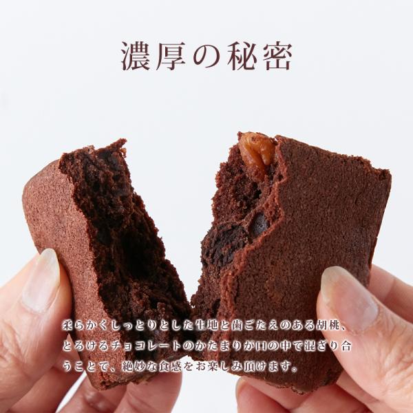 チョコブラウニー 1kg チョコレート ブラウニー 国内製造 個包装