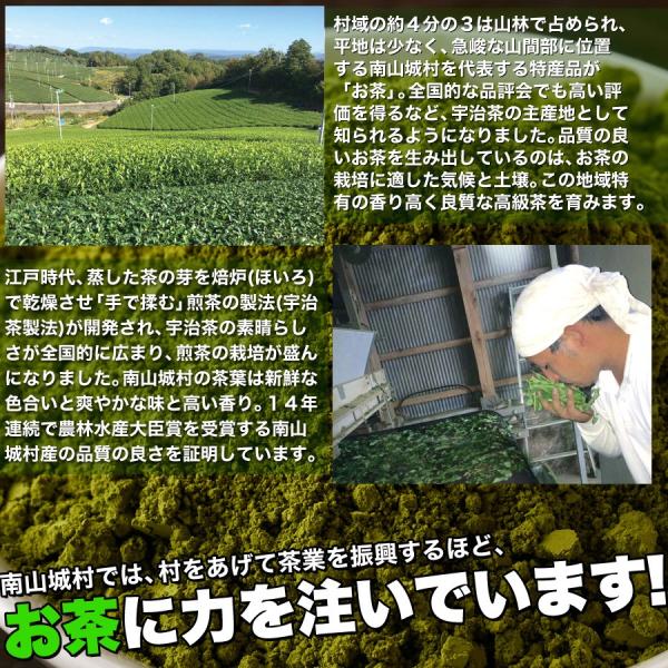 抹茶 粉末 宇治抹茶 200g 京都南山城産 緑茶 国産 美容 健康