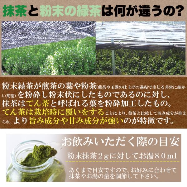 抹茶 粉末 宇治抹茶 200g 京都南山城産 緑茶 国産 美容 健康