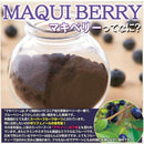 マキベリーパウダー マキベリー粉末 マキベリー 30g 栄養 スーパーフルーツ 美容 健康 安心 安全 ポリフェノール アントシアニン 抗酸化 【納期E】【sm00010247】