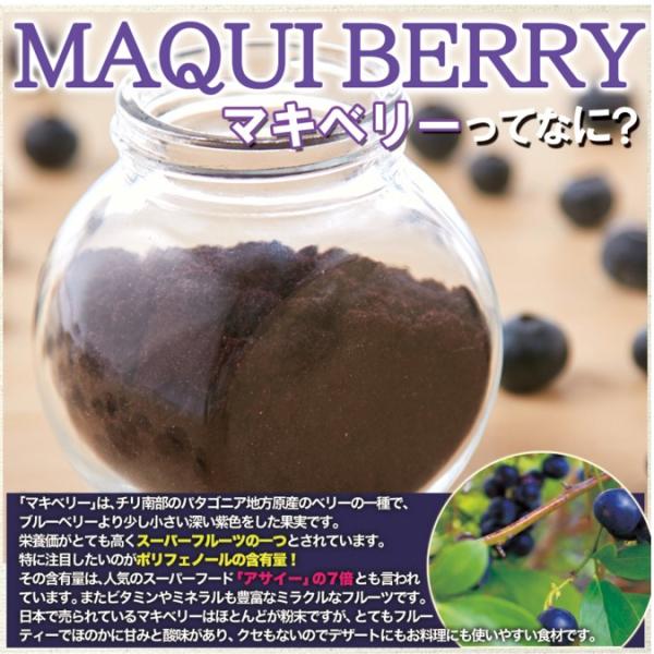マキベリーパウダー マキベリー粉末 マキベリー 30g 栄養 スーパーフルーツ 美容 健康 安心 安全 ポリフェノール アントシアニン 抗酸化 【納期E】【sm00010247】