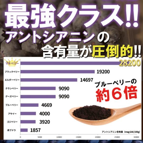 マキベリーパウダー マキベリー粉末 マキベリー 30g 栄養 スーパーフルーツ 美容 健康 安心 安全 ポリフェノール アントシアニン 抗酸化 【納期E】【sm00010247】