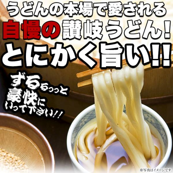 讃岐うどん 醤油だし付き 香川 製麺所 さぬきうどん sm00010370