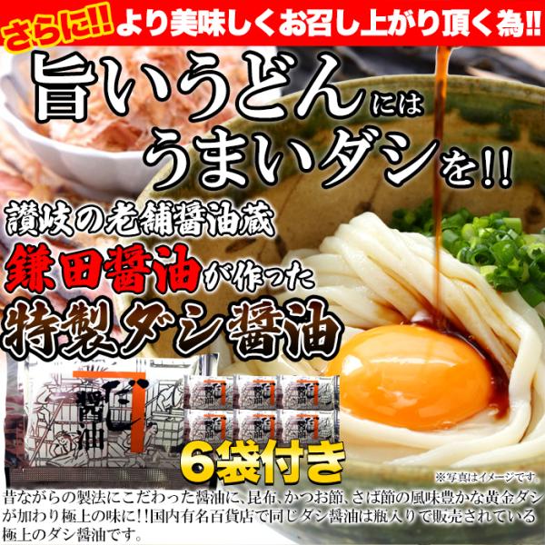 讃岐うどん 醤油だし付き 香川 製麺所 さぬきうどん sm00010370