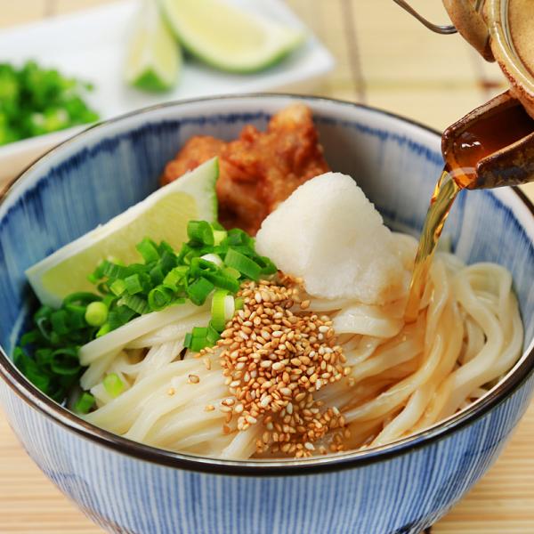 讃岐うどん 醤油だし付き 香川 製麺所 さぬきうどん sm00010370