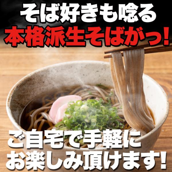 生そば つゆ付き セット 生蕎麦 讃岐 三割 ざるそば ザル 腰