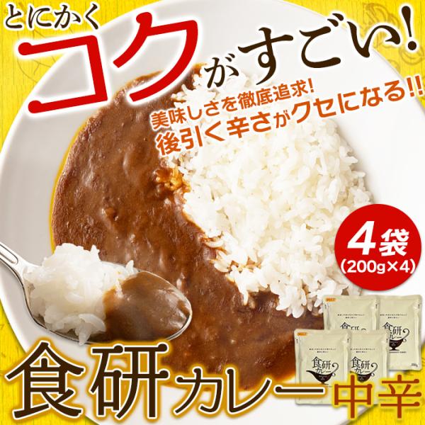 食研カレー 中辛 レトルトカレー 即席 カレー ルー ルウ 美味しい マイルド クリーミー ビーフカレー パウチ 4袋 200g 日本食研 非常食 【納期E】【sm00010317】