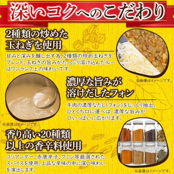 食研カレー 中辛 レトルトカレー 即席 カレー ルー ルウ 美味しい マイルド クリーミー ビーフカレー パウチ 4袋 200g 日本食研 非常食 【納期E】【sm00010317】