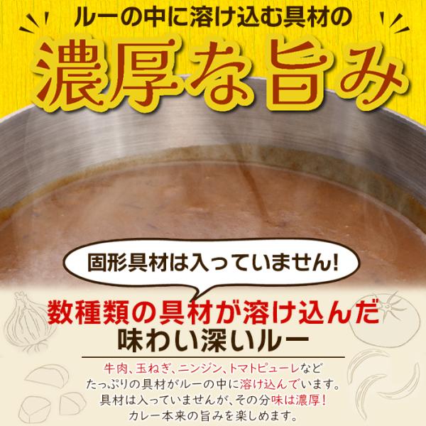 食研カレー 中辛 レトルトカレー 即席 カレー ルー ルウ 美味しい マイルド クリーミー ビーフカレー パウチ 4袋 200g 日本食研 非常食 【納期E】【sm00010317】