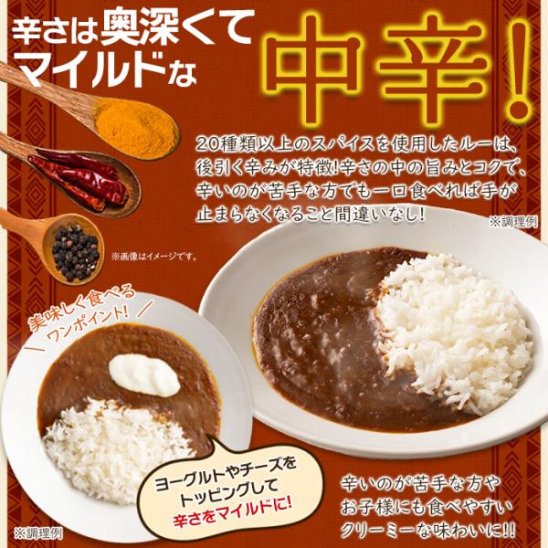 食研カレー 中辛 レトルトカレー 即席 カレー ルー ルウ 美味しい マイルド クリーミー ビーフカレー パウチ 4袋 200g 日本食研 非常食 【納期E】【sm00010317】