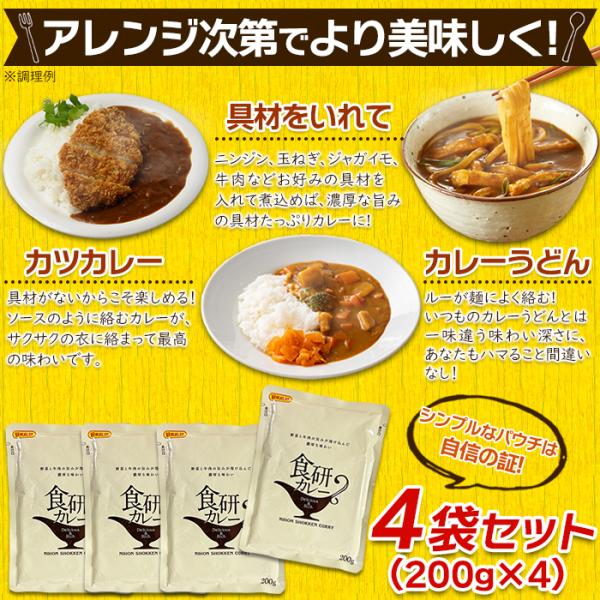 食研カレー 中辛 レトルトカレー 即席 カレー ルー ルウ 美味しい マイルド クリーミー ビーフカレー パウチ 4袋 200g 日本食研 非常食 【納期E】【sm00010317】