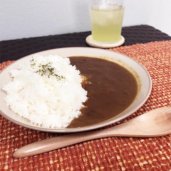 食研カレー 中辛 レトルトカレー 即席 カレー ルー ルウ 美味しい マイルド クリーミー ビーフカレー パウチ 4袋 200g 日本食研 非常食 【納期E】【sm00010317】