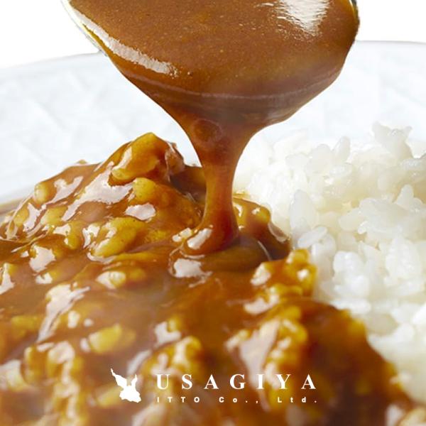 食研カレー 中辛 レトルトカレー 即席 カレー ルー ルウ 美味しい マイルド クリーミー ビーフカレー パウチ 4袋 200g 日本食研 非常食 【納期E】【sm00010317】