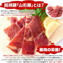 豚ジャーキー ポークジャーキー 山形豚肉 国産 醤油だれ おつまみ ビタミンB1 保存料不使用 着色料なし 人工甘味料不使用 ヘルシー 日本産 【納期A】【sm00010384】