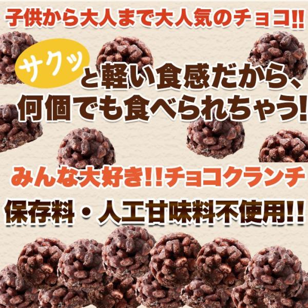 チョコクランチ 訳あり 小さい パフ 大容量 保存料不使用 個包装