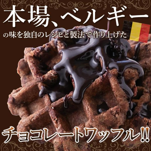 ベルギーワッフル 1kg ワッフル チョコレート 個包装 大容量 訳あり 国内製造 国産 チョコレートワッフル チョコワッフル チョコチップ 【納期E】【sm00010418】