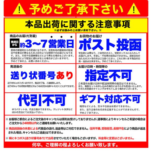 焼きそば オタフクソース やきそば セット 生麺 国産 sm00010813