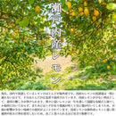 レモンゼリー 塩レモンゼリー 瀬戸内レモン 長崎 花藻焼き塩 ミネラル 大容量 国産レモン 日本産 国内製造 熱中症対策 夏 日射病 運動 暑さ 【納期E】【sm00010460】