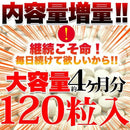 セサミン サプリメント 黒胡麻 黒ゴマ ごま すっぽん スッポン ツバメの巣 マカ アンデス人参 栄養素 食生活 国産 元気 活力 日本製 大容量 【納期A】【sm00010486】