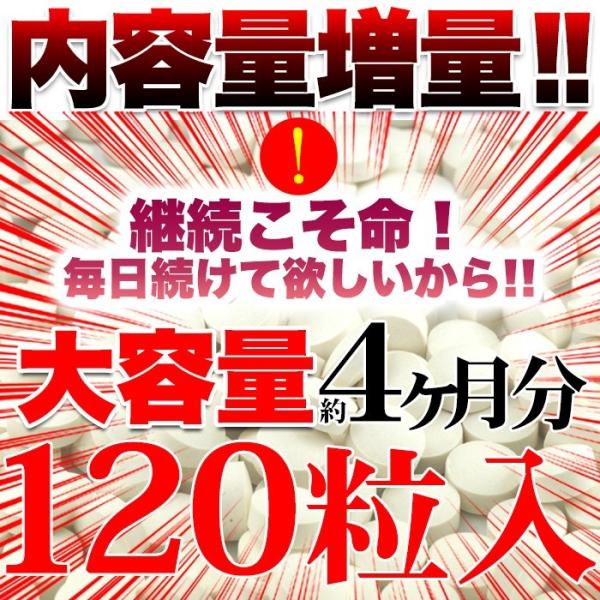 薔薇 サプリメント コラーゲン ヒアルロン酸 ポリフェノール ビタミン バラ ローズ 安全 国産 リフレッシュ 匂い 美容 健康 エキス 大容量 【納期A】【sm00010487】