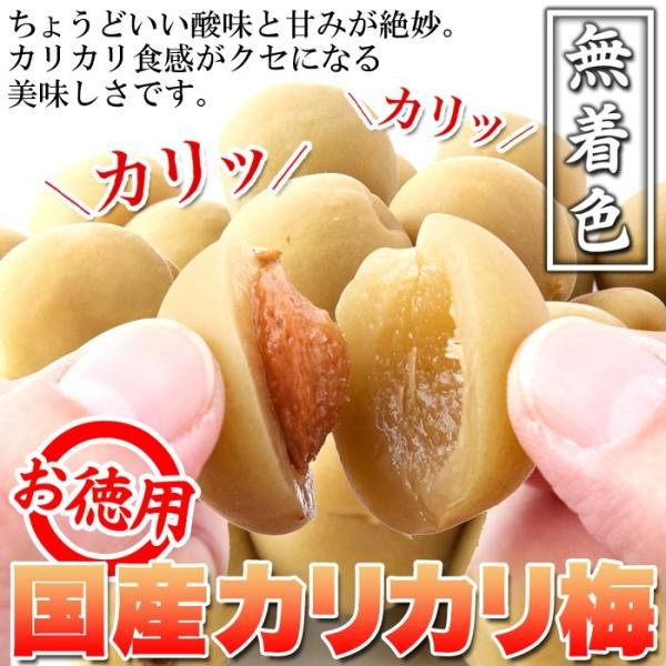 カリカリ梅 500g 無着色 お徳用 国産 かりんこ梅 ウメボシ うめぼし 梅干し 着色料不使用 ヘルシー 国内製造 個包装 白加賀 大粒 肉厚 果肉 【納期E】【sm00010501】