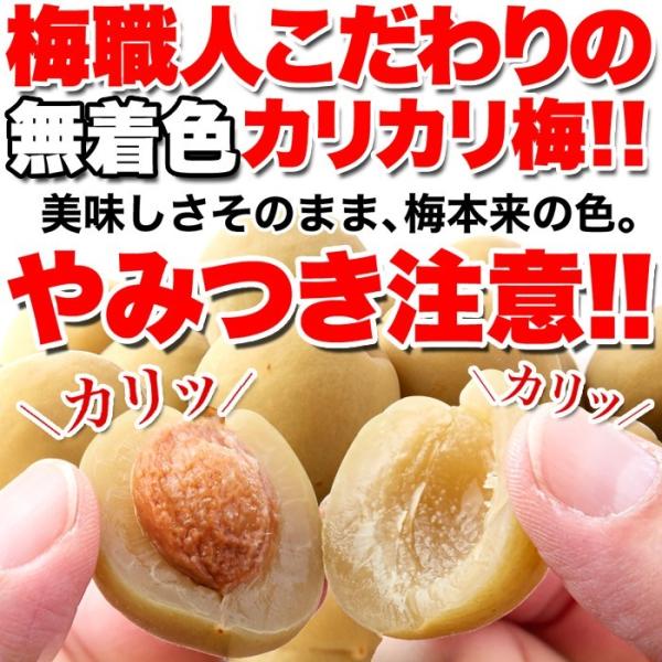 カリカリ梅 500g 無着色 お徳用 国産 かりんこ梅 ウメボシ うめぼし 梅干し 着色料不使用 ヘルシー 国内製造 個包装 白加賀 大粒 肉厚 果肉 【納期E】【sm00010501】