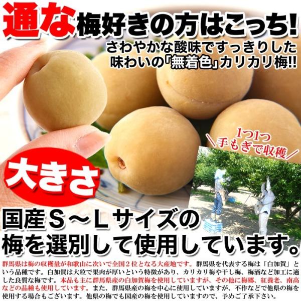 カリカリ梅 500g 無着色 お徳用 国産 かりんこ梅 ウメボシ うめぼし 梅干し 着色料不使用 ヘルシー 国内製造 個包装 白加賀 大粒 肉厚 果肉 【納期E】【sm00010501】