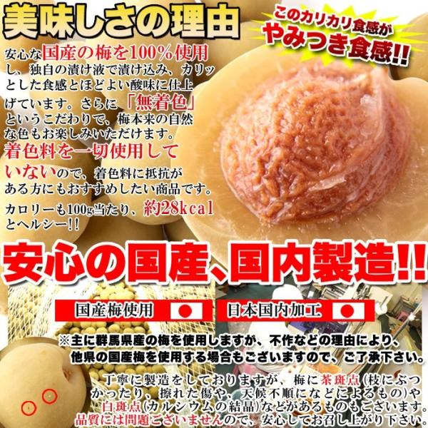 カリカリ梅 500g 無着色 お徳用 国産 かりんこ梅 ウメボシ うめぼし 梅干し 着色料不使用 ヘルシー 国内製造 個包装 白加賀 大粒 肉厚 果肉 【納期E】【sm00010501】