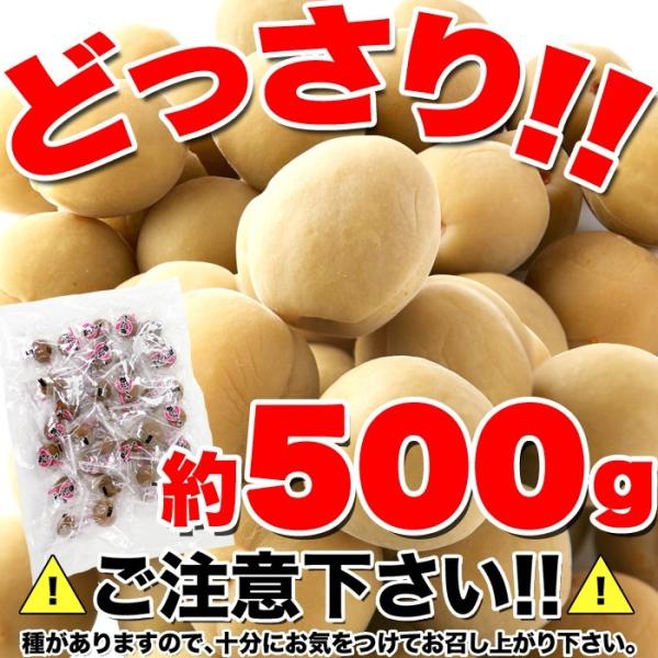 カリカリ梅 500g 無着色 お徳用 国産 かりんこ梅 ウメボシ うめぼし 梅干し 着色料不使用 ヘルシー 国内製造 個包装 白加賀 大粒 肉厚 果肉 【納期E】【sm00010501】