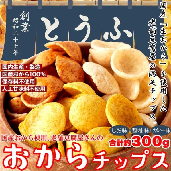 おからチップス しお味 塩 醤油 カレー 国産 米菓 ダイエット