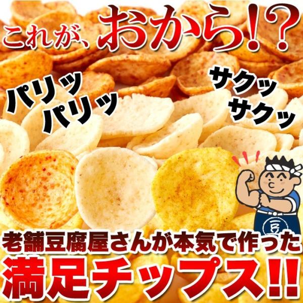 おからチップス しお味 塩 醤油 カレー 国産 米菓 ダイエット