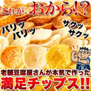 おからチップス しお味 塩味 醤油味 カレー味 国産 生おから 大豆 米菓 保存料不使用 人工甘味料不使用 低カロリー ダイエット 食物繊維 【納期E】【sm00010504】