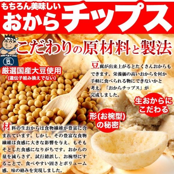 おからチップス しお味 塩 醤油 カレー 国産 米菓 ダイエット