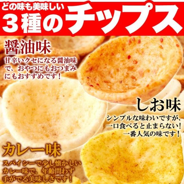 おからチップス しお味 塩 醤油 カレー 国産 米菓 ダイエット