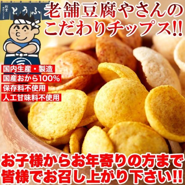 おからチップス しお味 塩 醤油 カレー 国産 米菓 ダイエット