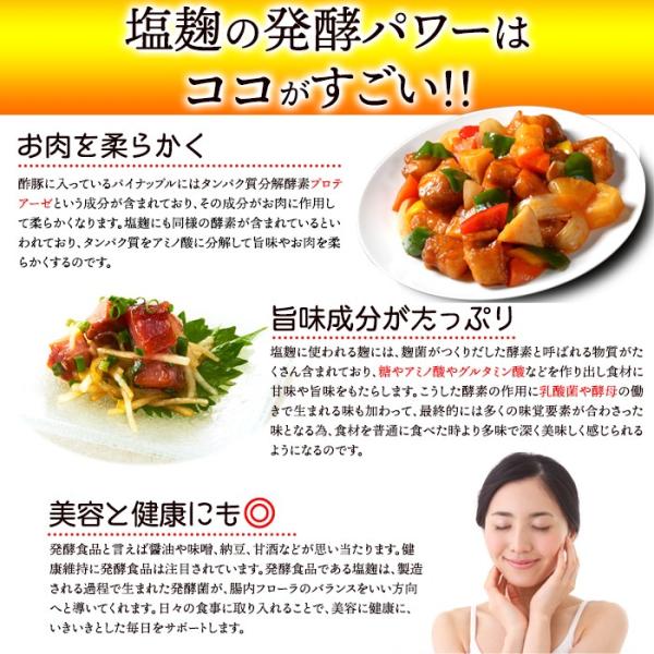 塩麹 粉末 パウダー 塩糀 こうじ 万能調味料 米麹 美容 醗酵